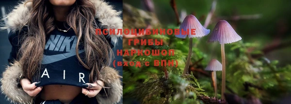 спайс Баксан