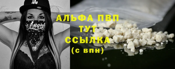 спайс Баксан